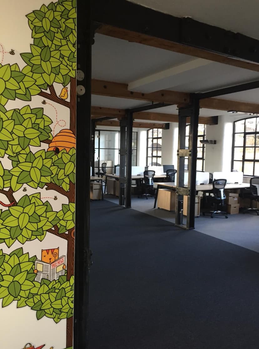 Tree Accountancy Office Fit Out - Image 1